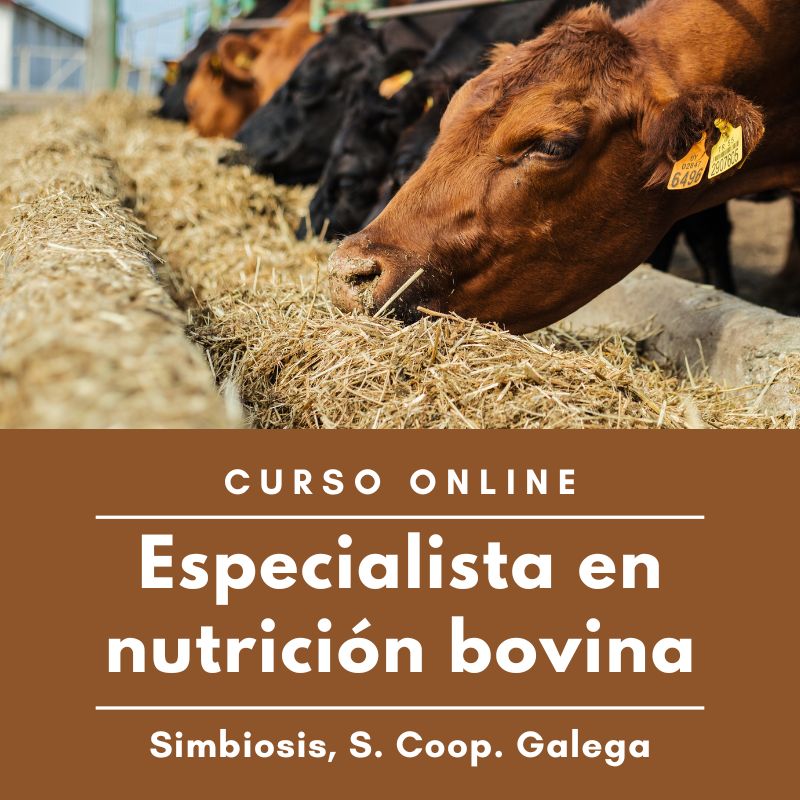 Especialista en nutrición bovina