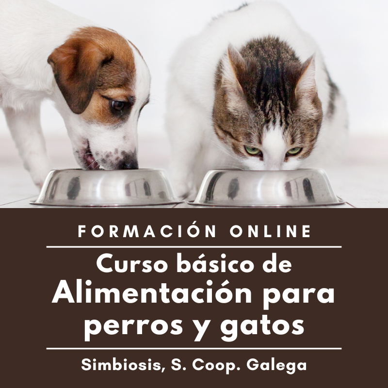 Curso básico de alimentación para perros y gatos